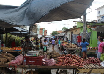 Feira livre de Maragogi é dominada por pernambucanos