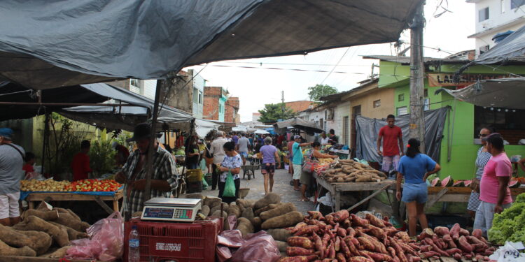 Feira livre de Maragogi é dominada por pernambucanos
