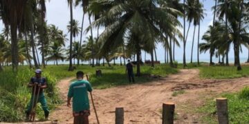 Prefeitura de Japaratinga fecha acessos irregulares às praias do município