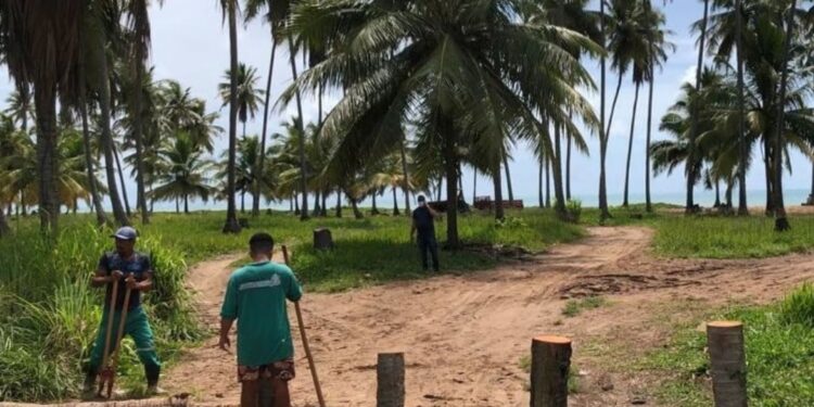 Prefeitura de Japaratinga fecha acessos irregulares às praias do município