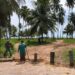 Prefeitura de Japaratinga fecha acessos irregulares às praias do município