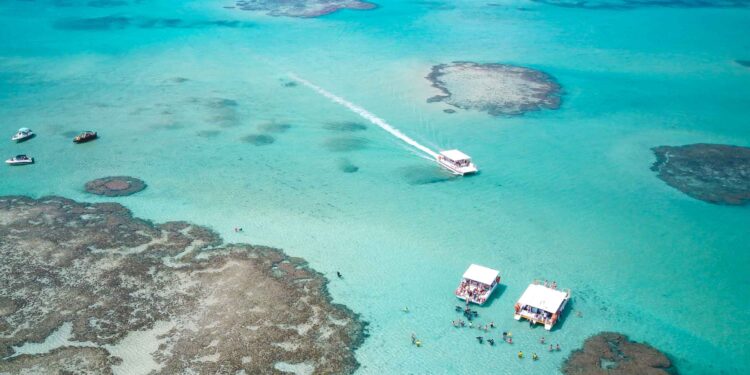 Maragogi é o 3º destino mais votado em pesquisa de agência