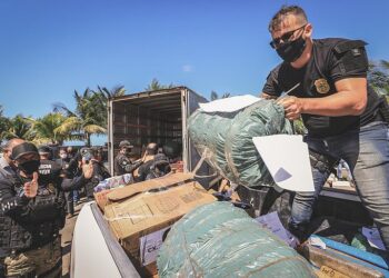 Forças de Segurança de AL apreenderam mais de 4 toneladas de droga em 2021