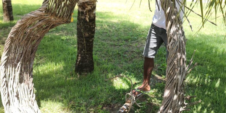 Coração decorativo perdido é encontrado no mar por pescador; infelizmente, inutilizável