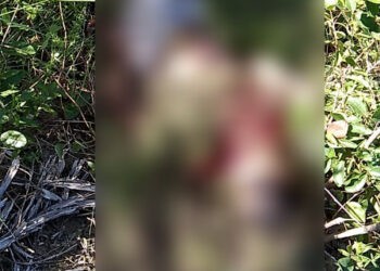 Mecânico de 17 anos é encontrado morto em Maragogi