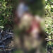 Mecânico de 17 anos é encontrado morto em Maragogi