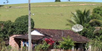 Equatorial Energia transforma em pânico a vida na Zona Rural de Maragogi