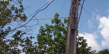 Em Maragogi, moradores precisam amarrar poste com corda para não cair