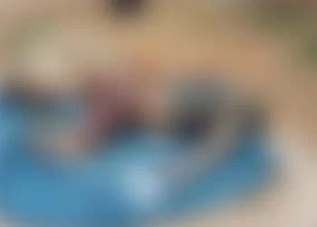 Populares encontram corpo em decomposição em Barra de Santo Antônio