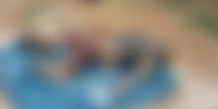 Populares encontram corpo em decomposição em Barra de Santo Antônio