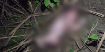 Corpo de recém-nascido é encontrado em terreno baldio no centro do município de Jundiá