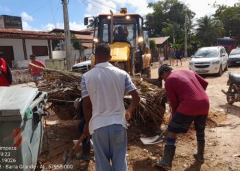 SANEAPE realiza mutirão de limpeza em Maragogi