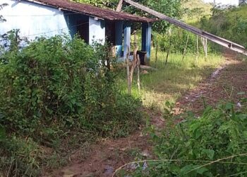 MARAGOGI – Moradores do assentamento Pau Amarelo ameaçam interditar rodovia em protesto contra a Equatorial
