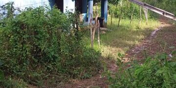 MARAGOGI – Moradores do assentamento Pau Amarelo ameaçam interditar rodovia em protesto contra a Equatorial