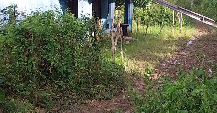 MARAGOGI – Moradores do assentamento Pau Amarelo ameaçam interditar rodovia em protesto contra a Equatorial