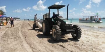 MARAGOGI — Sanepe inicia limpeza geral para festas de fim de ano