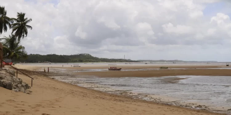 Verde Alagoas esvazia carnaval de São Bento em Maragogi