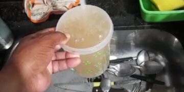 Sem leitura de hidrômetro, Verde Alagoas deixa Distrito de Maragogi inadimplente e ainda distribui água barrenta