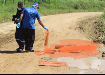 Corpo mutilado é desovado em estrada vicinal de Maragogi.