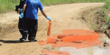 Corpo mutilado é desovado em estrada vicinal de Maragogi.