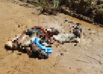 Há um ano, o corpo de um adolescente paraibano foi encontrado mutilado em Maragogi; crime permanece sem solução